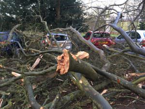 Storm Damage northamptonshire