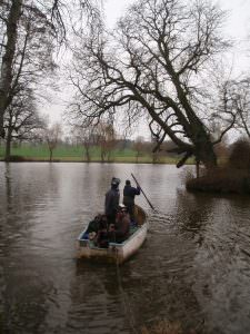 tree surgeon northampton