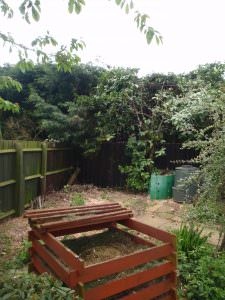 northampton Tree Dismantling