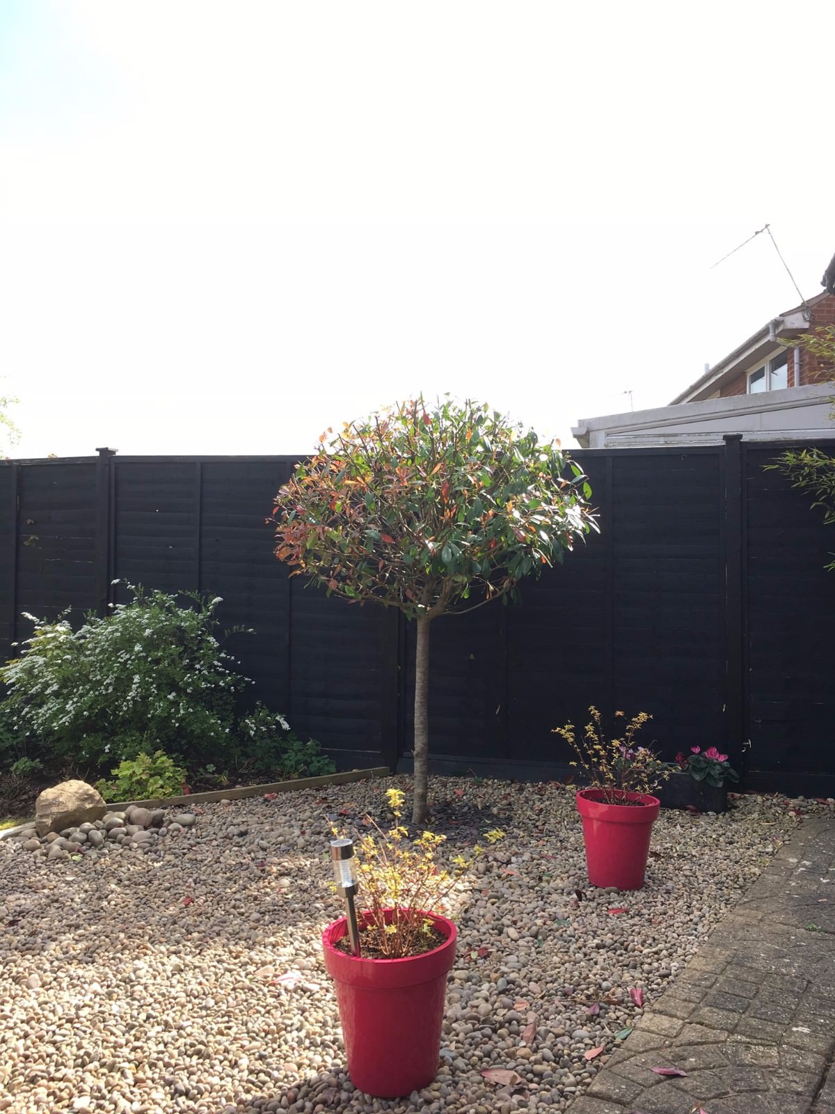 tree services northampton