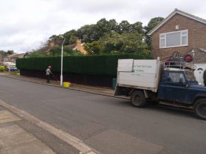 northampton tree surgery