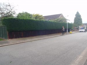 hedge cutting near me market harborough