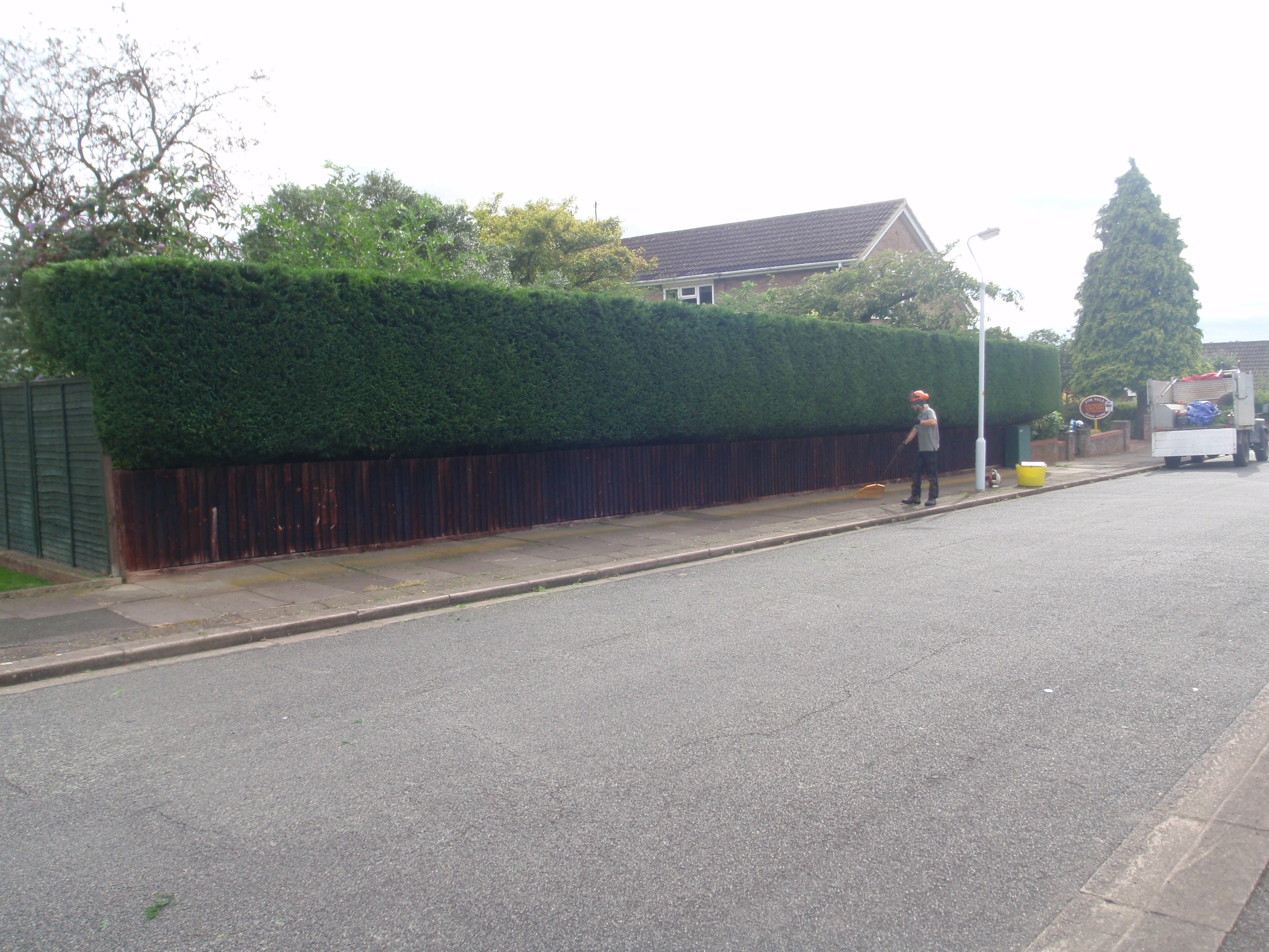 hedge trimming price moulton